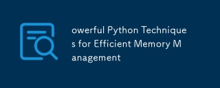 owerful Python Techniques for Efficient Memory Management