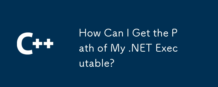 How Can I Get the Path of My .NET Executable?
