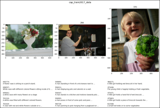 CocoDetection in PyTorch (2)