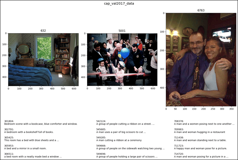 CocoDetection in PyTorch (2)