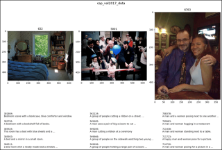CocoDetection in PyTorch (2)