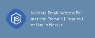 Validate Email Address Format and Domain Libraries for Use in Next.js