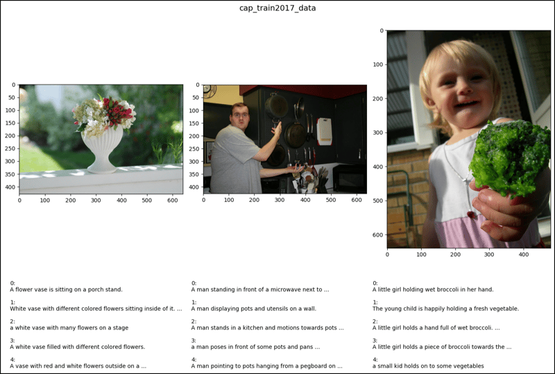 CocoCaptions in PyTorch (2)