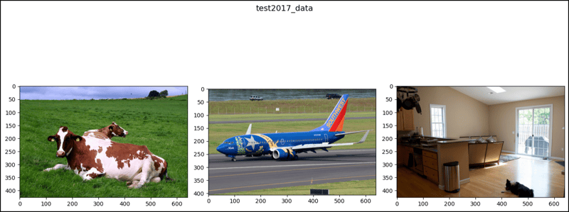 CocoCaptions in PyTorch (2)