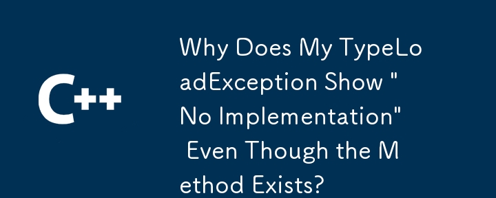 Why Does My TypeLoadException Show 
