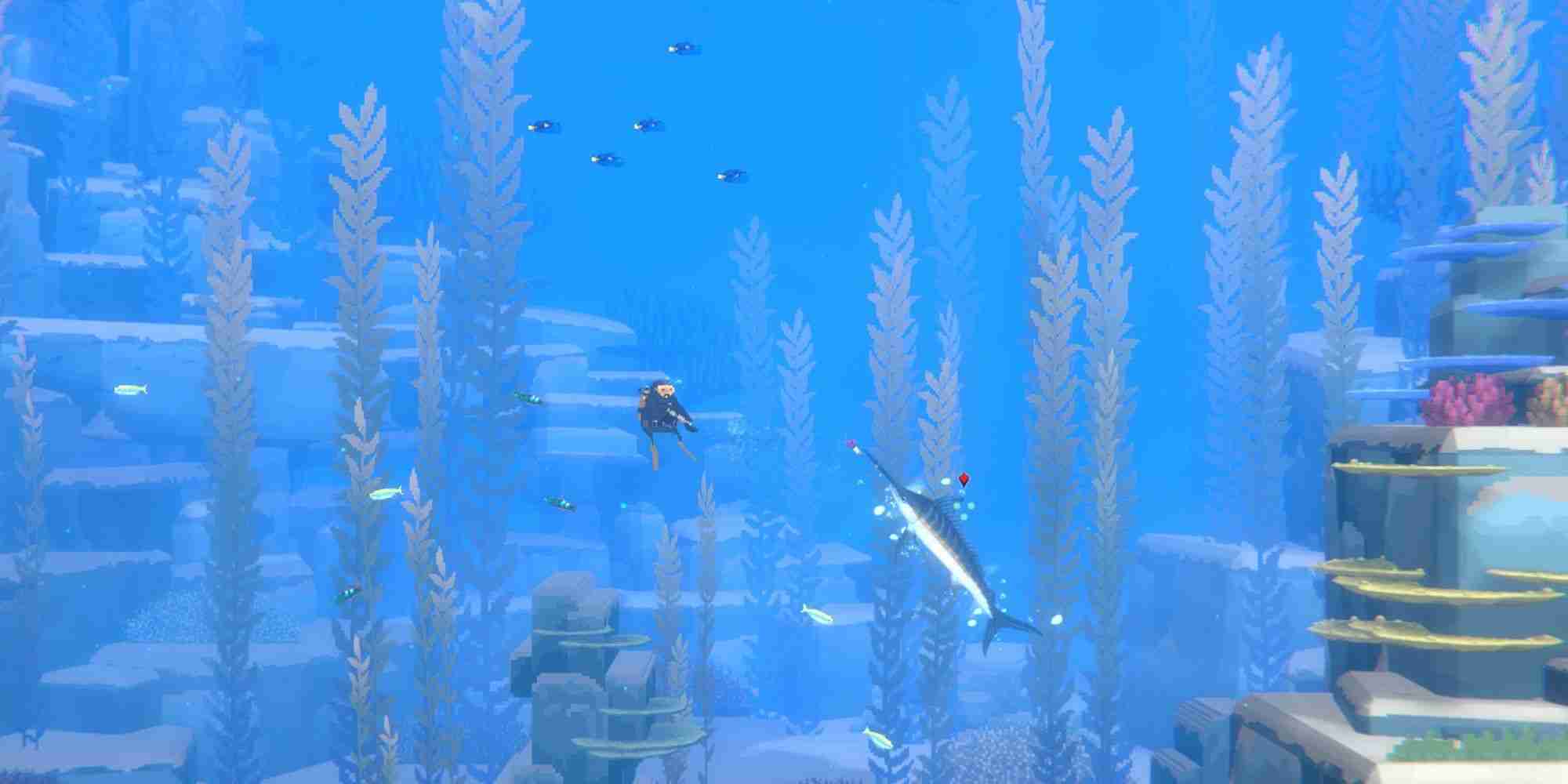 Dave The Diver: How To Catch Spider Crabs