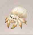 Infinity Nikki: Complete Crafting Guide