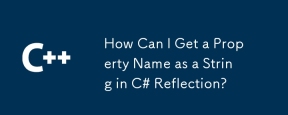 How Can I Get a Property Name as a String in C# Reflection?