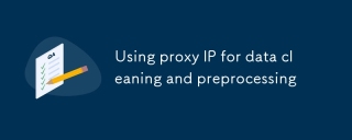 Using proxy IP for data cleaning and preprocessing