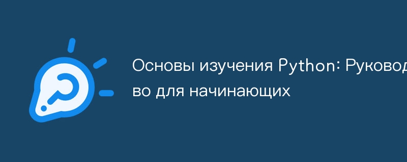 Основы изучения Python: Руководство для начинающих
