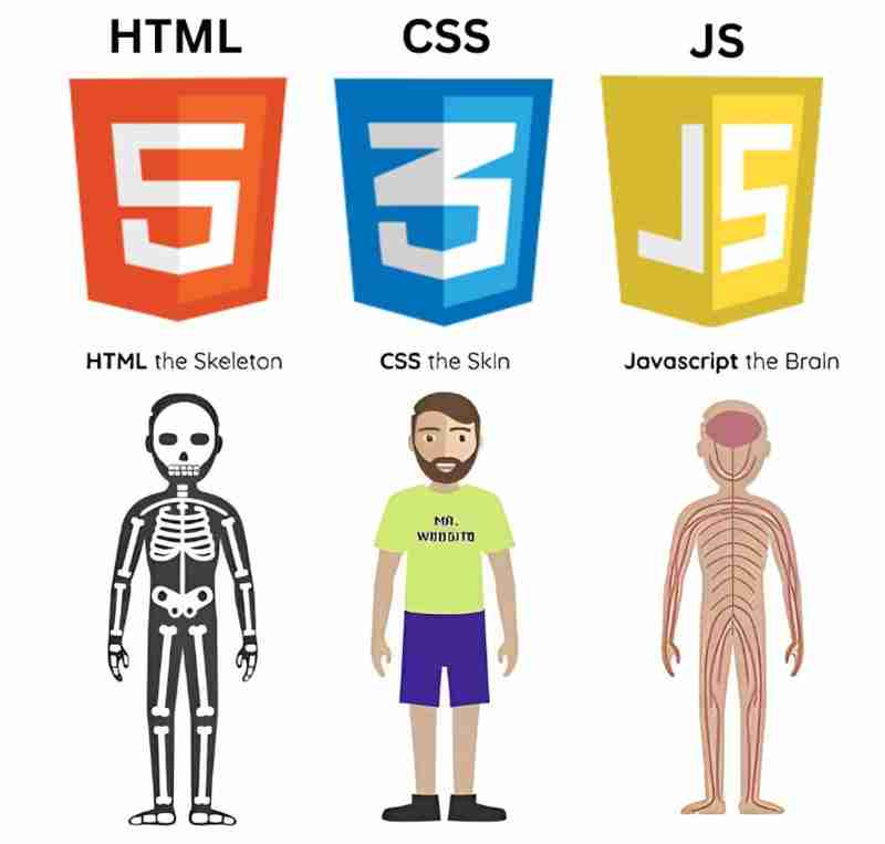 Javascript - Introduction