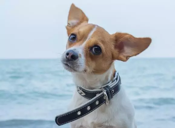 A Deep Dive into Redux 