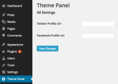 Créer une page de paramètres de thème WP avec l'API Paramètres