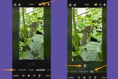 How to edit photos on an iPhone—a detailed guide