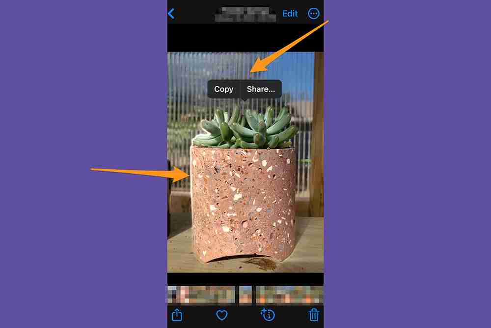 How to edit photos on an iPhone—a detailed guide