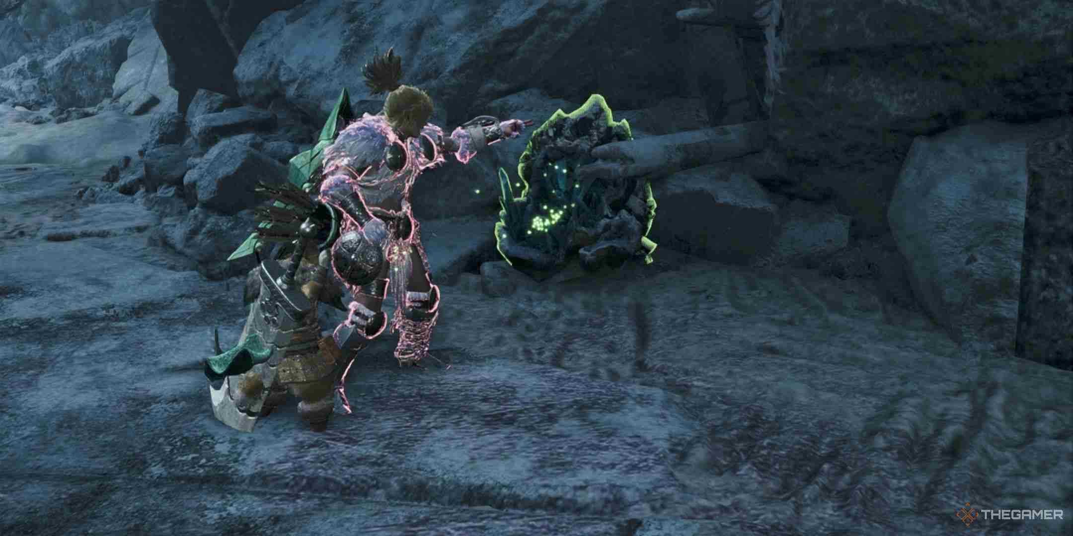 Monster Hunter Wilds: How To Get Nourishing Extract