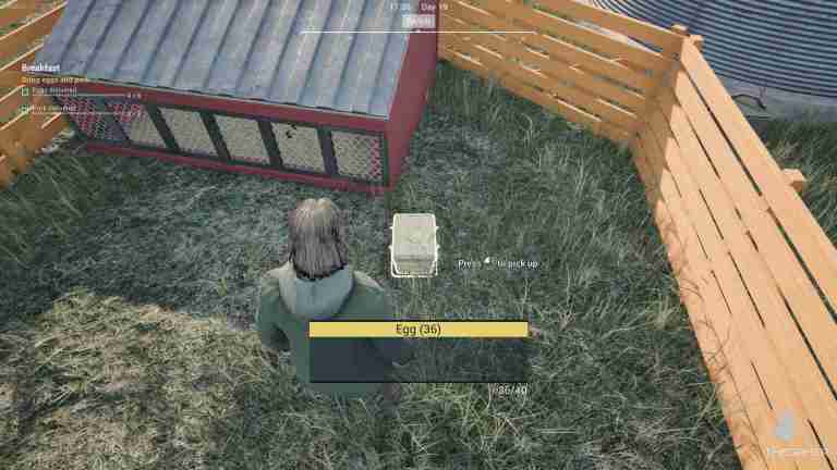 Ranch Simulator: Complete Guide To Chickens