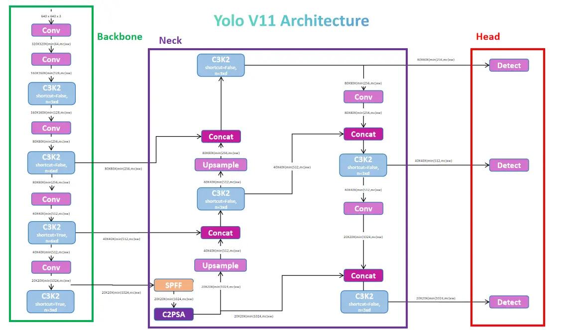 Guide on YOLOv11 Model Building from Scratch using PyTorch