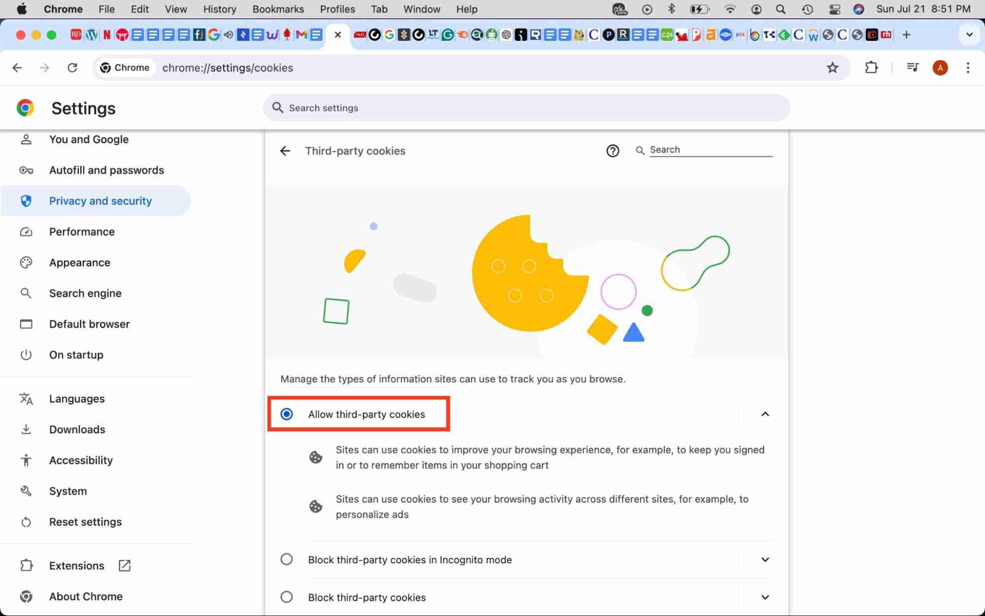 How to Allow 3rd-Party Cookies on Mac? How to Enable It on an Apple Laptop?