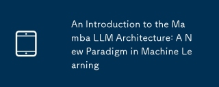 An Introduction to the Mamba LLM Architecture: A New Paradigm in Machine Learning