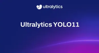 YOLOv11: The Next Leap in Real-Time Object Detection - Analytics Vidhya