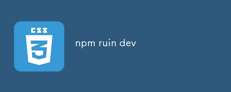npm ruin dev