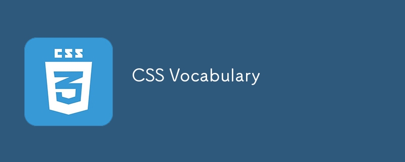 CSS -Wortschatz