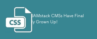 JAMstack CMSs Have Finally Grown Up!