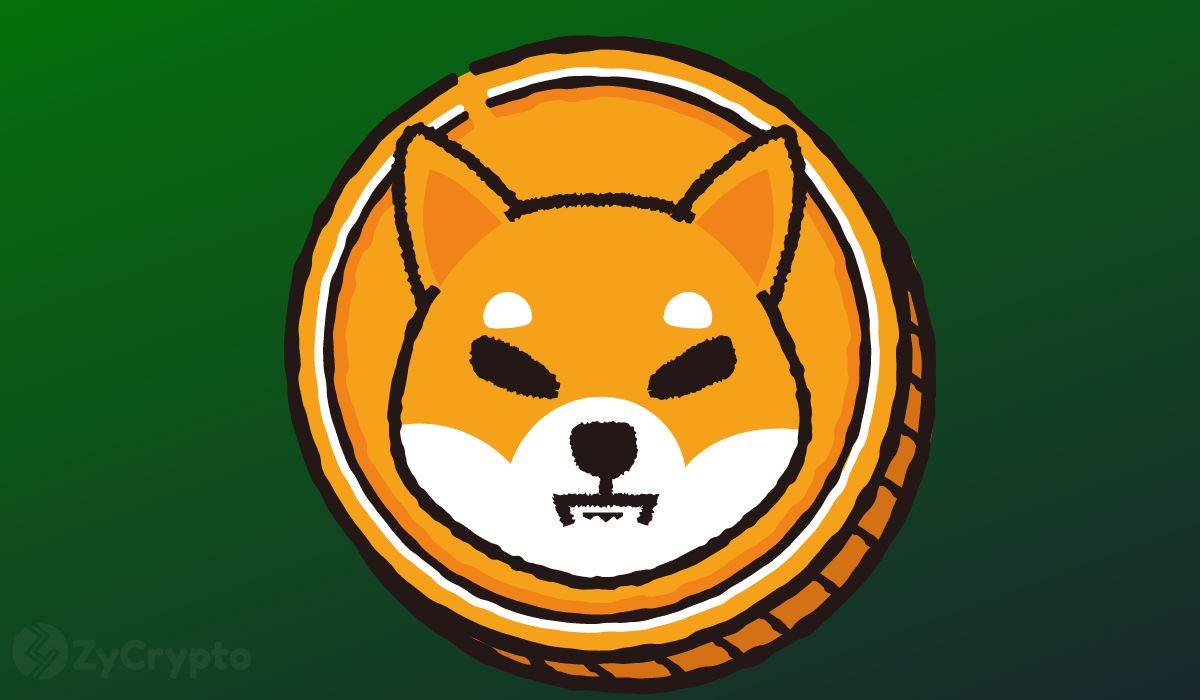 Despite Recent Weakness, On-Chain Data Hints Shiba Inu (SHIB) Could Be Poised for a Massive Rally