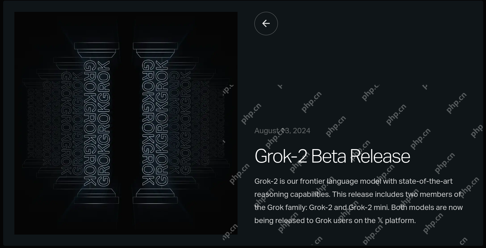 Grok 2 Image Generator: Shown Angry Elon Musk Holding AR15