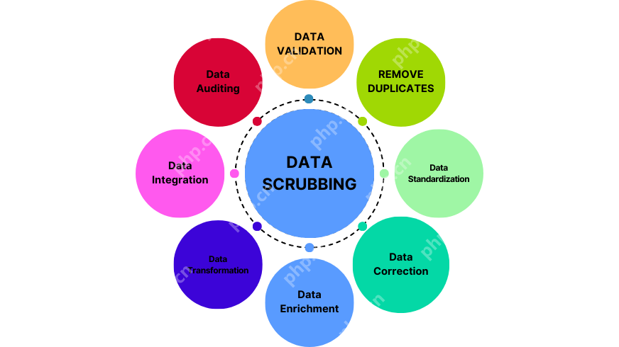 What is Data Scrubbing?