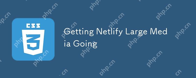 Getting Netlify Large Media Going