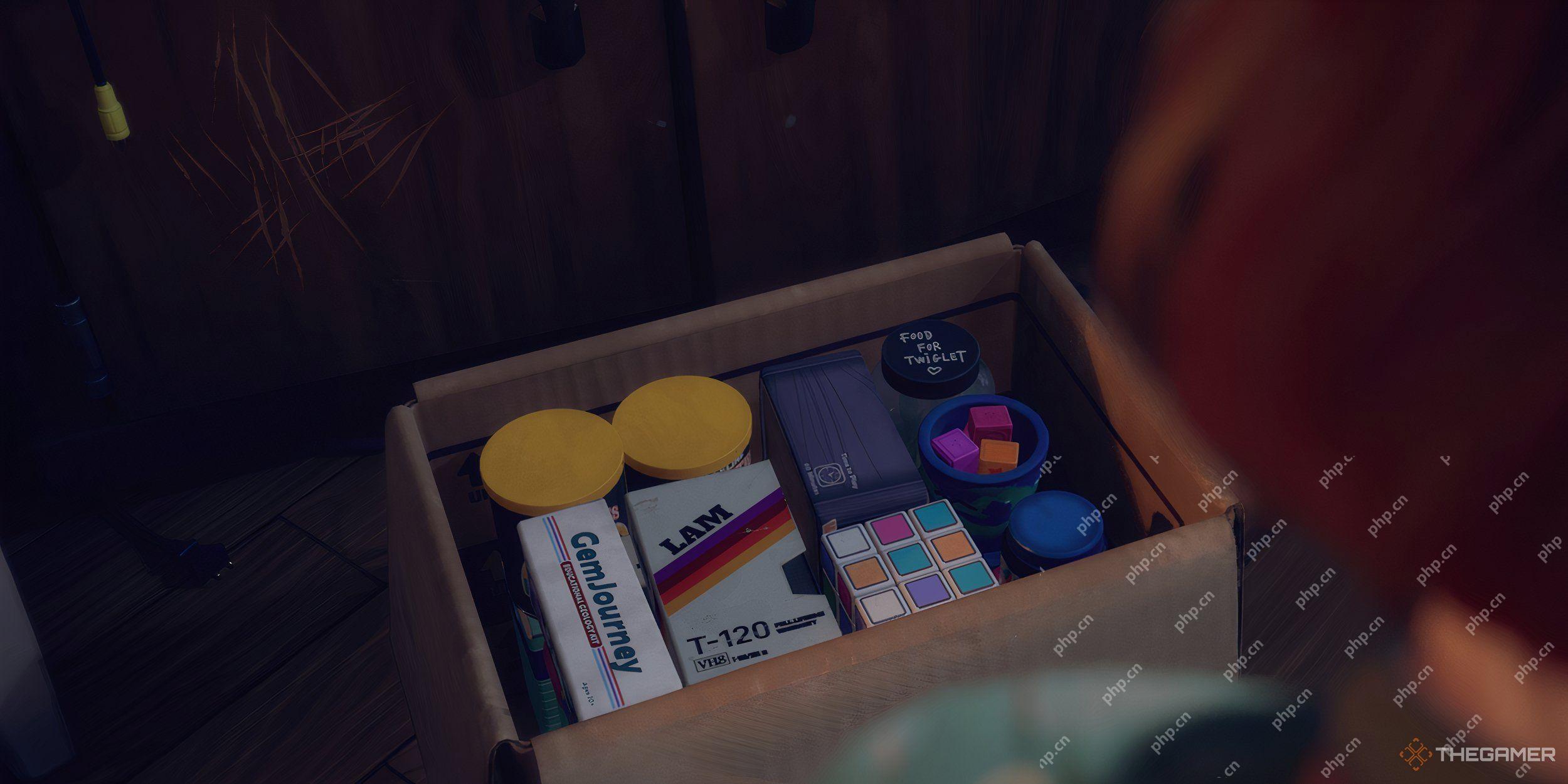 Lost Records: Bloom & Rage - Kat's Birdcage Memoir Locations