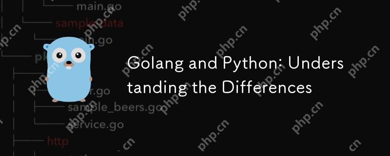 Golang and Python: Understanding the Differences-Golang-php.cn image.