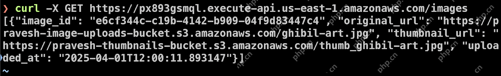 Serverless Image Processing Pipeline with AWS ECS and Lambda 
