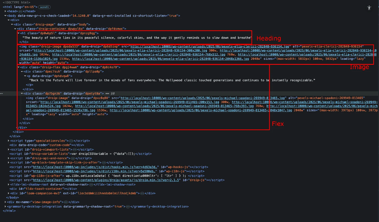 Droip Review: Why You Should Choose Droip Over Traditional WordPress Page Builders in 2025