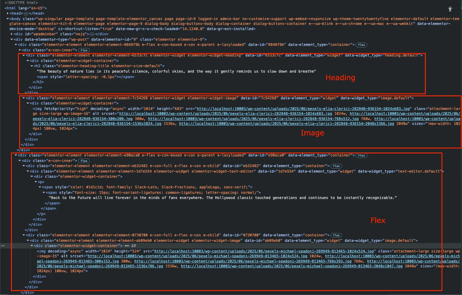 Droip Review: Why You Should Choose Droip Over Traditional WordPress Page Builders in 2025