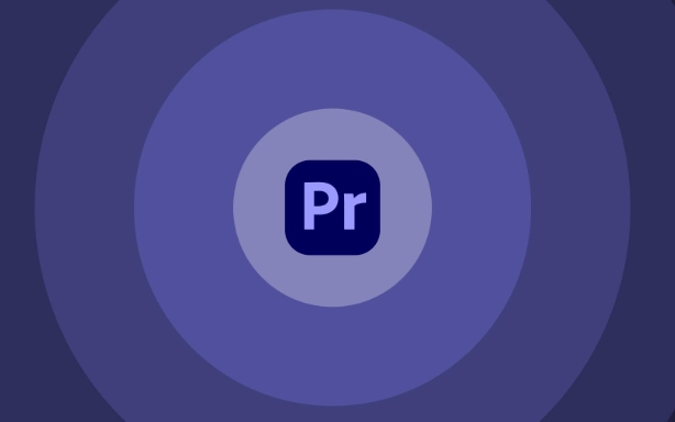 how to apply an effect to multiple clips in Premiere Pro