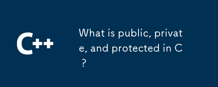 What is public, private, and protected in C ?-C++-php.cn