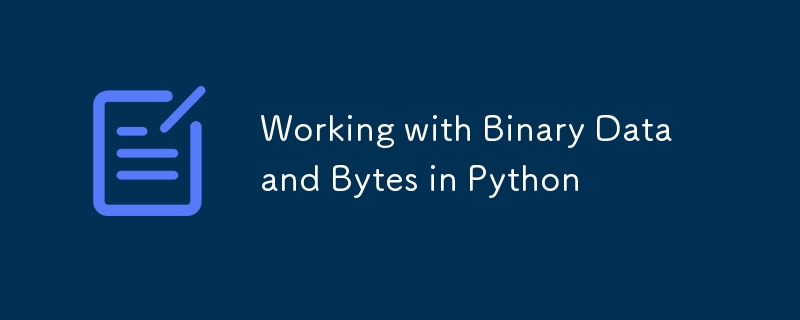 Working with Binary Data and Bytes in Python-Python Tutorial-php.cn