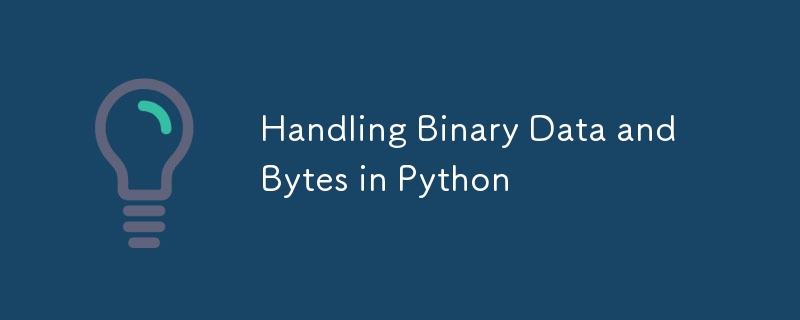 處理Python中的二元數據和字節-Python教學-PHP中文網