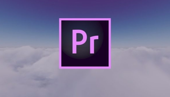 how to add a watermark in Premiere Pro