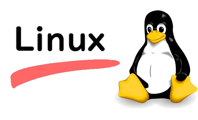 How to install linux alongside windows 10