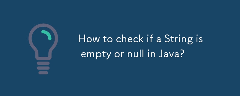 How to check if a String is empty or null in Java?-javaTutorial-php.cn