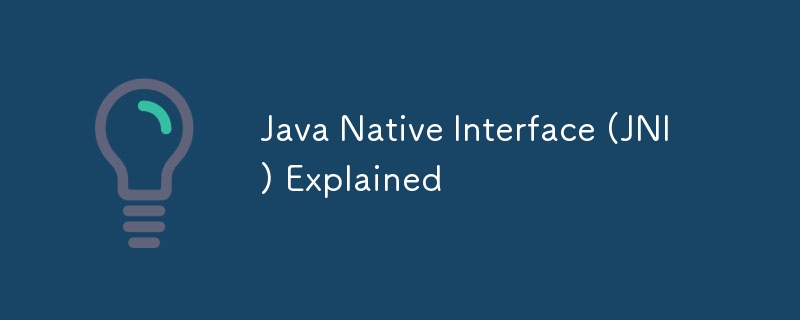 Java Native Interface (JNI) Explained-javaTutorial-php.cn