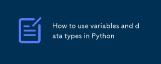 How to use variables and data types in Python-Python Tutorial-php.cn