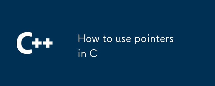 How to use pointers in C-C++-php.cn