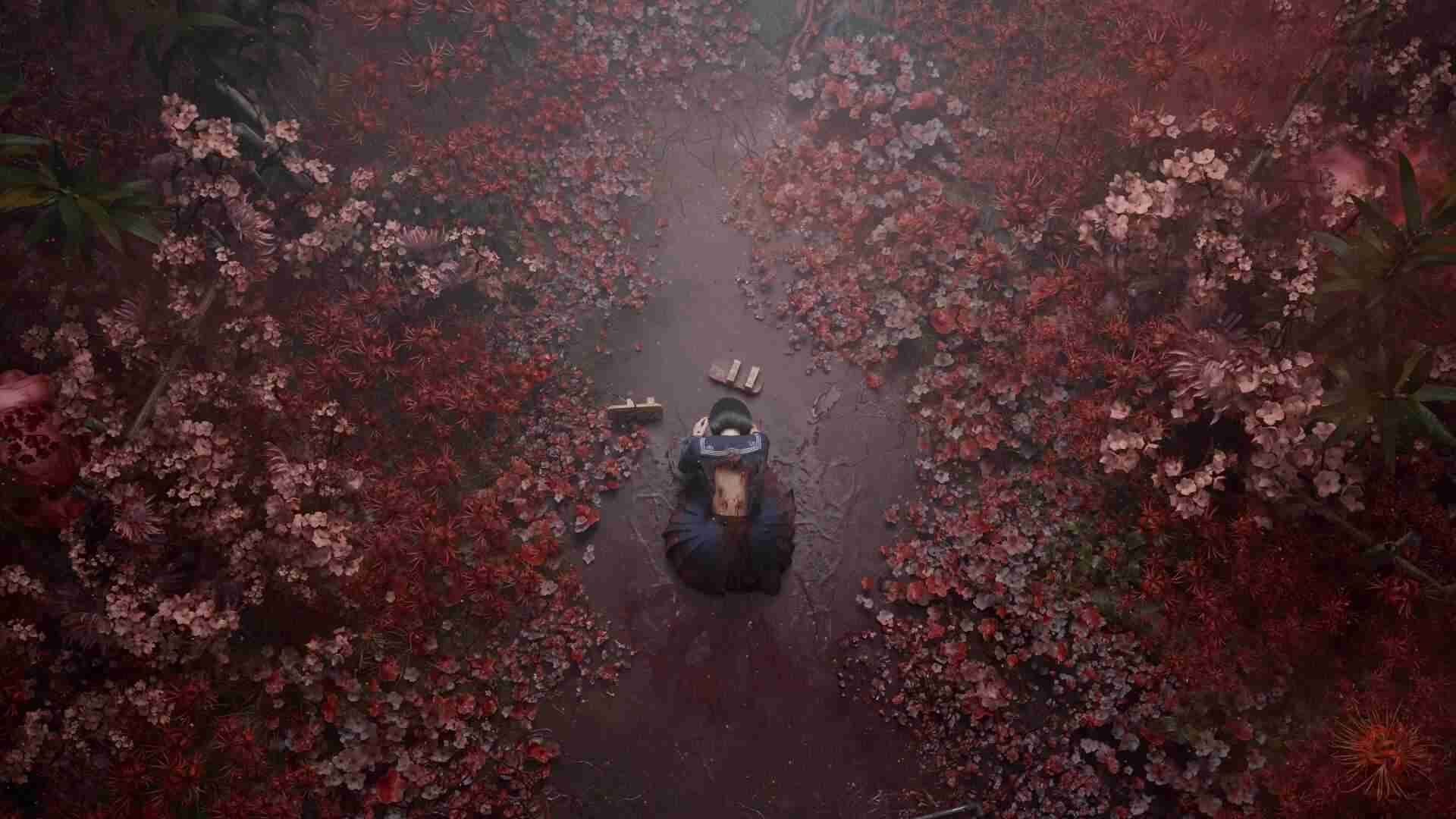 Silent Hill F: Anfängerspitzen