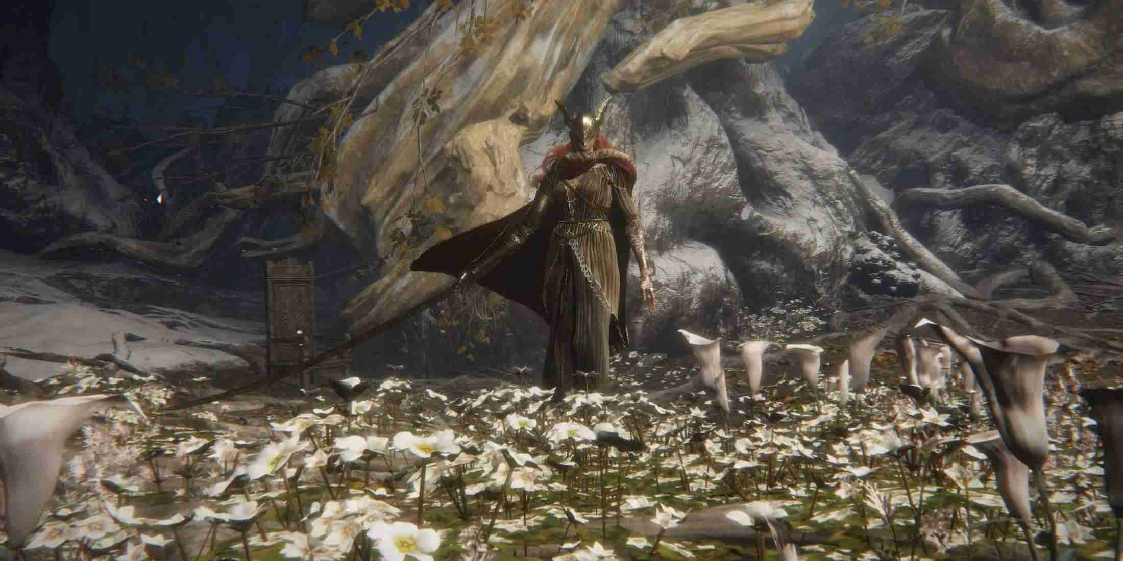 Elden Ring Sacred Tear-Standorte: Vollst?ndiger Upgrade-Leitfaden