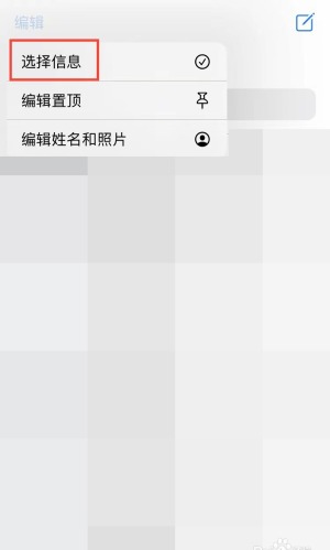 信息 App 编辑菜单中选择信息入口